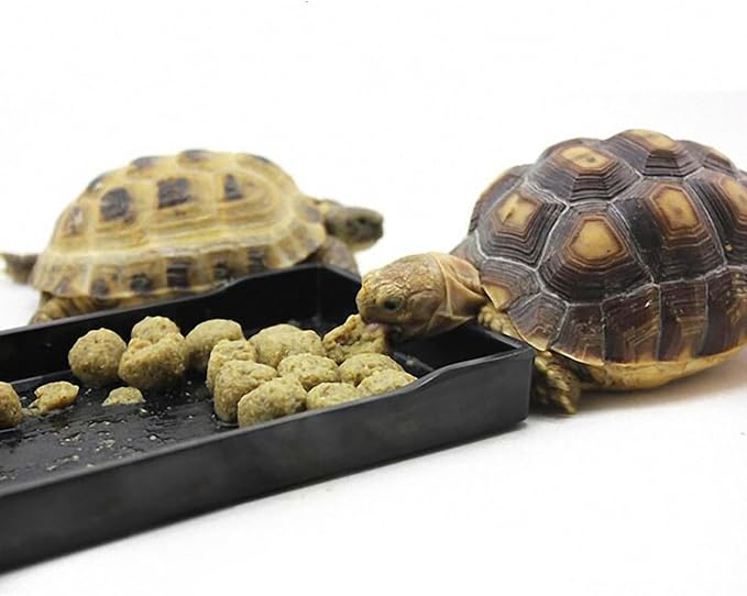 OMEM Reptile Bowl Large Food and Water Dish Enough Space Also Fit for Bath Simulated Wood Grain Surface (L, Black)