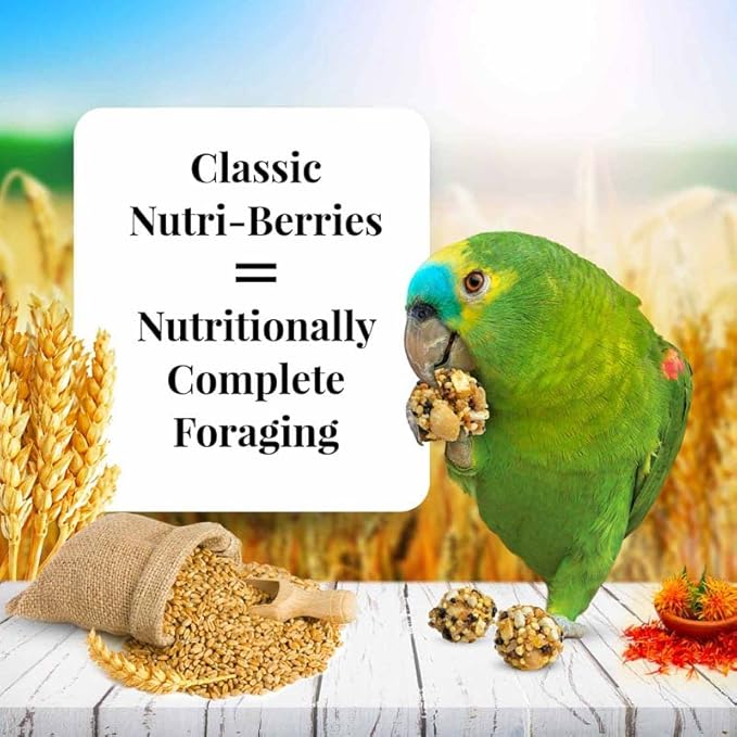 LAFEBER'S Classic Nutri-Berries Pet Bird Food, Made with Non-GMO and Human-Grade Ingredients, for Parrots (10 oz Pack of 2)