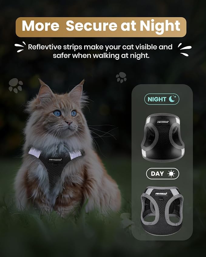 Cat Harness, Cat Leash and Harness Set for Walking Escape Proof, Harness for Small Cats/Small Dogs, Large Kitten/Puppy Harness and Leash, Harness for Cats S-XXL(Black, XX-Large)