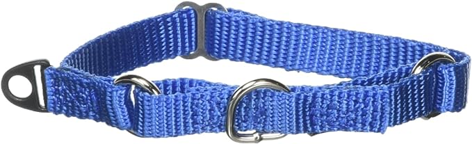 PetSafe Adjustable Martingale Collar - Only Tightens When Dogs Pull, Prevents Slipping Out - Helps with Strong Pullers, Increased Control - Alternative to Choke Collar - 3/8", Petite, Royal Blue