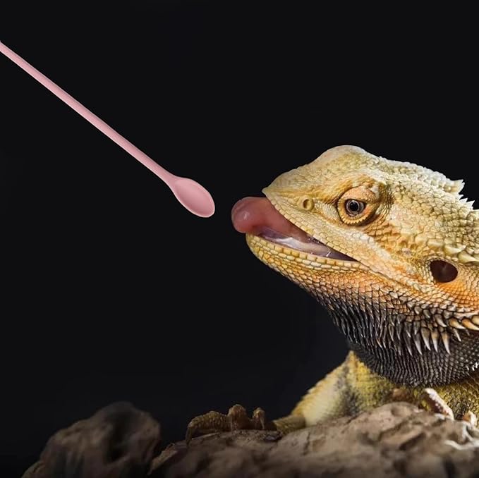 2Pcs Reptile Spoon, Reptile Powder Fruit Mixing Stirring Food Long Handle Feeding Tool Fit Crested Gecko Gargoyle Bearded Dragon