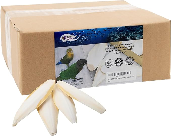 Birds LOVE Natural Cuttlebone - Premium Calcium & Trace Mineral Supplement for Avian Species, Tortoises, and Snails - Pure Cuttlefish Bones for Parakeets, Cockatiels & All Birds - 12 Pack of 5 .5-6"
