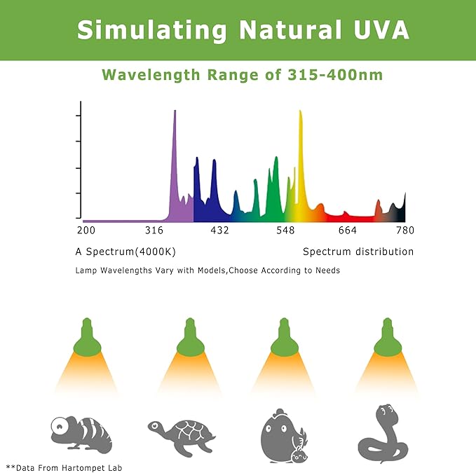 Reptile Heat Lamp Bulbs 100W E26 - UVA Basking Spot Light for Reptiles - Simulated Sunlight Terrarium Heat Lamps - Ideal for Bearded Dragon, Lizard, Tortoise, chickss and More | Pack of 2