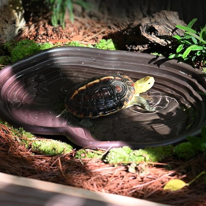 Flushbay Reptile Feeding Water Bowl with Drainage Turtle Water Dish Large Reptile Bathing Dish Pool for Lizard Bearded Dragon Hermit Crabs Semi-Aquatic Pets (Black)