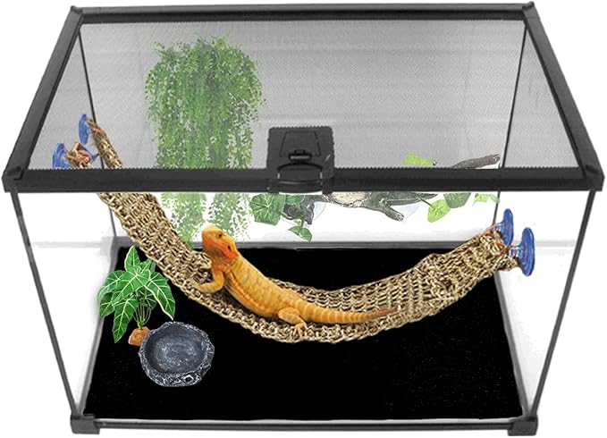 HERCOCCI 2 Pack Reptile Carpet, 39’’ x 20’’ Terrarium Bedding Substrate Liner Reptile Cage Mat Tank Accessories for Bearded Dragon Lizard Tortoise Leopard Gecko Snake (Black)