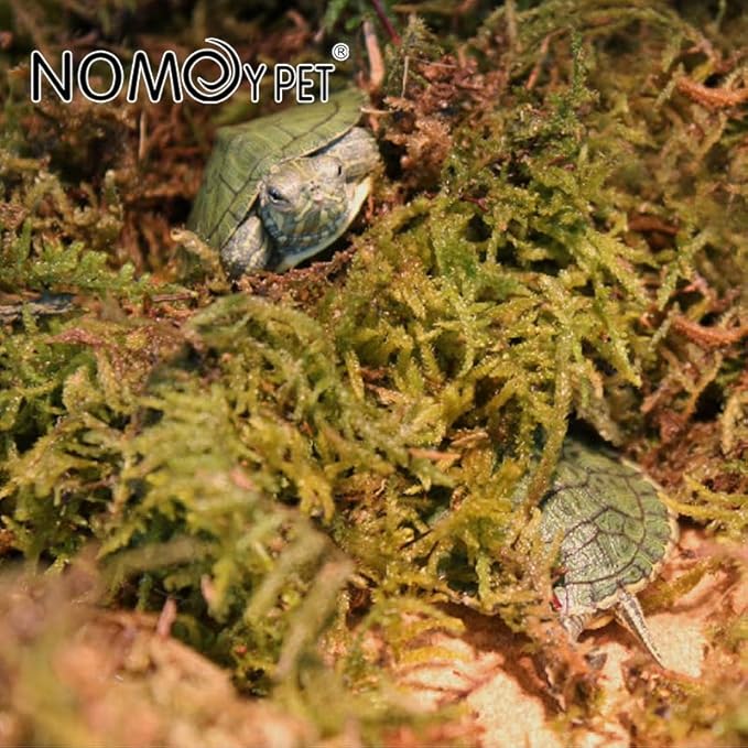 Reptile Moist Moss for Humidity, Great for Snakes, Turtle and Other Reptiles