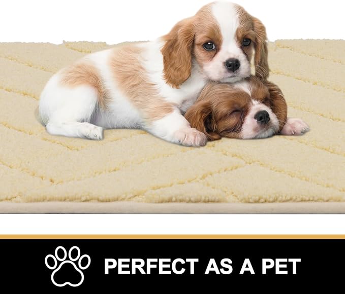 Tindbea Dog Mat for Muddy Paws,Absorbs Moisture Dirt Non-Slip Washable Mud Mat for Dogs,Soft Rubber Backing Front Inside Pet Rug for Entryway, Mud Dog Paws, Patio(24"x59",Beige)