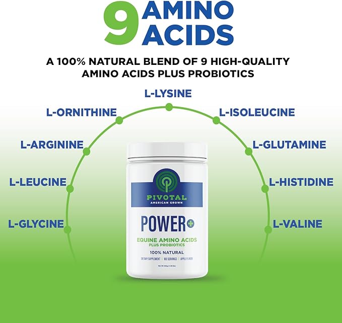 Power+ Horse Supplement (620g/1.36lbs - 100 Servings) - 9 Equine Amino Acids Plus Probiotics for Horses - No Added Sugar, No Soy, No Fillers - Horse Joint Support Supplement