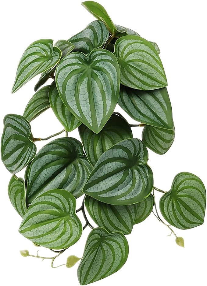 Reptile Plants for Terrarium, Amphibian Habitat Decor Artificial Hanging Plants with Suction Cup - Fake Calathea Orbifolia