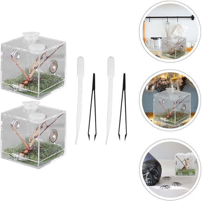 balacoo 8 Sets Jumping Spider Enclosure: Spider Cage Habitat Terrarium Micro Scorpion Droppers Reptile Hide Clear Jumping Enclosure Breeding Box Case with Breeding Tweezers Tank