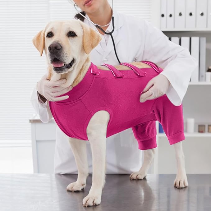 IECOii Dog Onesie for Surgery,Dog Surgery Suit Female Spay Recovery Suit for Medium Size Dog,Dog Recovery Suit Male Pet Abdominal Anti Licking Shirt,Dog Bodysuit Alternative to Cone E-Collar,M-Rosered