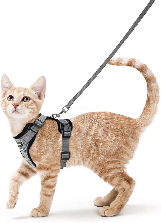 rabbitgoo Cat Harness and Leash for Walking, Escape Proof Soft Adjustable Vest Harnesses for Cats, Easy Control Breathable Reflective Strips Jacket, Grey, XS