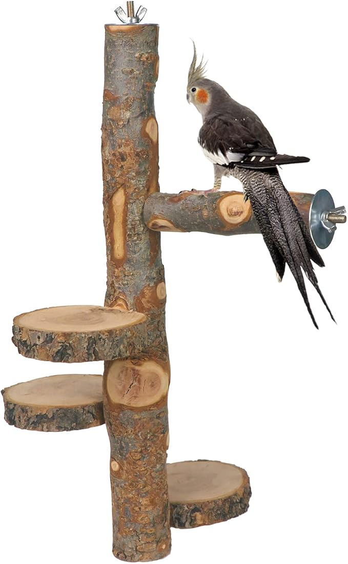 Chinchilla Large Hanging Wooden Rotating Platform - Small Animals Natural Fruit Wood Standing Platform - Squirrel Suger Glider Platform - Bird Perch Platform