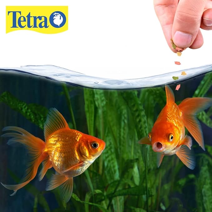 Tetra Goldfish Flakes, Nutritionally Balanced Diet For Aquarium Fish, Vitamin C Enriched Flakes, 1 oz