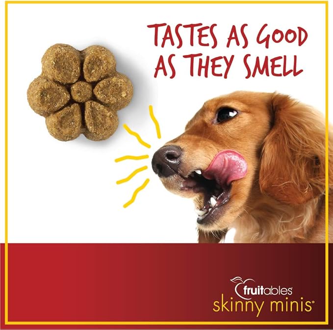 Fruitables Skinny Mini Dog Treats | Healthy Treats for Dogs | Low Calorie Training Treats | Free of Wheat, Corn and Soy | Pumpkin Spice | 5 Ounces