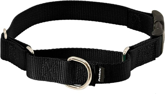 PetSafe Martingale Dog Collar with Quick-Snap Buckle - Medium, 3/4 Inch, Black