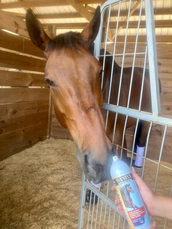 BANIXX Premium Liniment