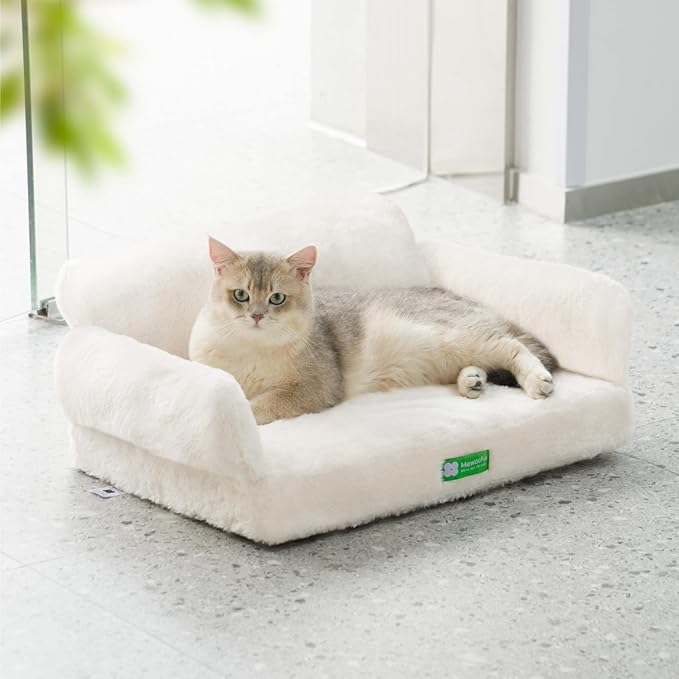 MEWOOFUN Cat Bed for Indoor Cats Orthopedic Dog Bed for Small Medium Dogs, Egg- Foam Pet Bed with Removable Washable Cover and Non-Slip Bottom (Medium, Beige)