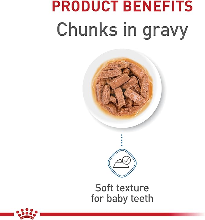 Royal Canin Size Health Nutrition Large Puppy Chunks in Gravy Wet Dog Food, 4.9 oz pouch (10-pack)