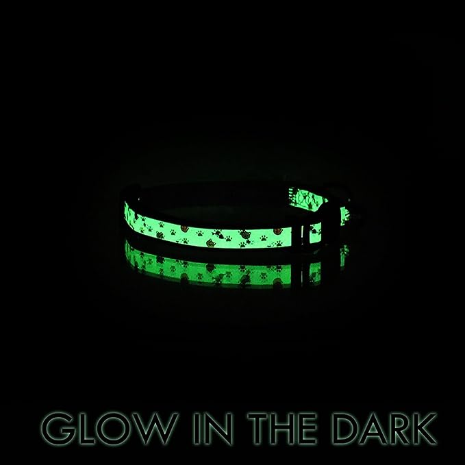 Pawtitas Glow in The Dark Cat Collar with Safety Buckle and Removable Bell Cat Collar Kitten Collar Green Cat Collar