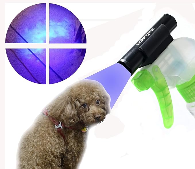 UV Light 365nm Pet Urine Detecting Flashlight with Black Filter Blacklight Torch