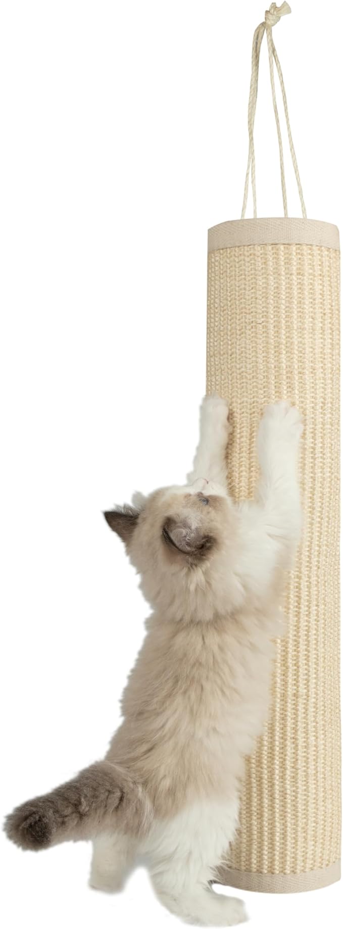 Best Pet Supplies Catify Hanging Log and Mat Scratchers for Indoor Cats, Fun and Interactive Indoor Play, Supports Natural Pet Behaviors, Heavy Duty - Cream