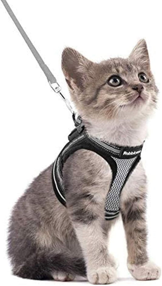 rabbitgoo Cat Harness and Leash Set for Walking Escape Proof, Adjustable Soft Kittens Vest with Reflective Strip for Cats, Comfortable Outdoor Vest, Grey, S