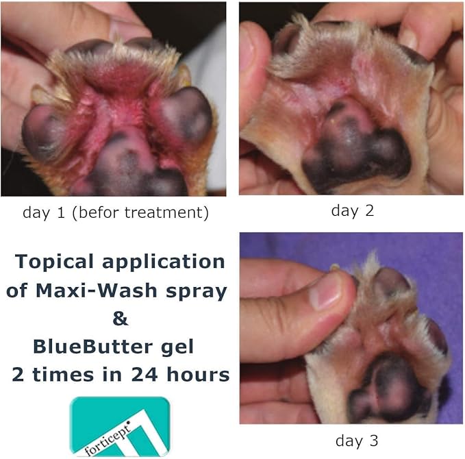 Forticept Maxi-Wash Hot Spot Spray, Wound Care and Skin Treatments, Itch Relief, First Aid and Paw Cleanser for Dogs, 4 Fl Oz