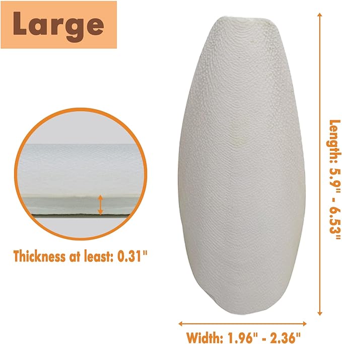6.29"-7" Large Cuttlebone for Birds, Parakeets Cuddle Bone, Cuttlefish Bone for Sharp Beaks, Natural Calcium for Parrots Tortoise, 4pcs