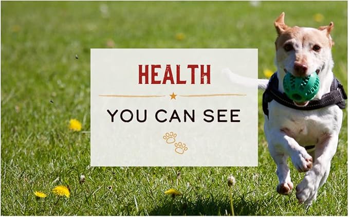 Merrick Lil’ Plates Premium Grain Free Natural Wet Dog Food For Small Dogs Surfin' And Turfin' Supper In Gravy - (Pack of 12) 3.5 oz. Tubs