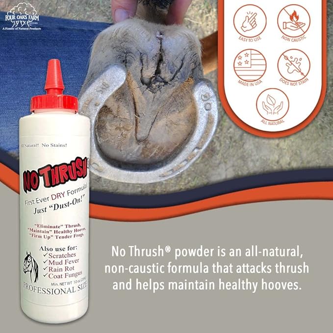 No Thrush Dry Powder Treatment for Horses - Wound Care, Scratches, Rain Rot, Mud Fever, Coat Fungus - All Natural Ingredients, Non-caustic, Easy to Use Powder Formula (10 oz)