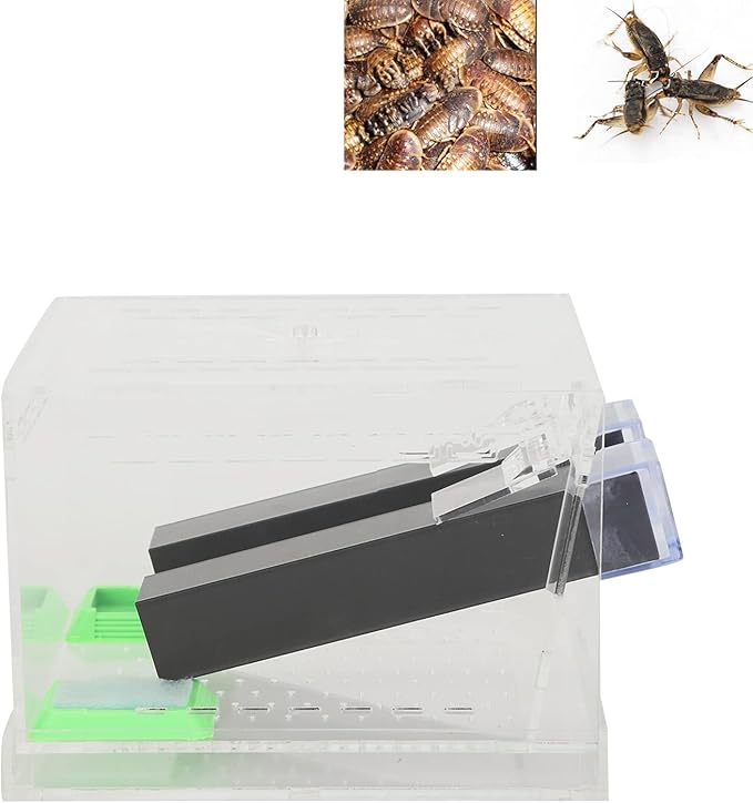 Cricket Keeper, Acrylic Feeding Cricket Keeper with Tubes Feces Layer, Easy to Clean Cricket Care Kit for Observation of Breeding(L)