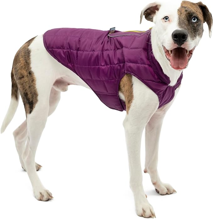 Kurgo Loft Dog Jacket, Reversible Winter Coat for Dogs, Wear with Harness or Sweater, Water Resistant, Reflective, for Small Medium Large Pets (Deep Violet, XL)