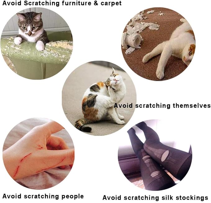 100pcs Cat Nail Caps/Tips YMCCOOL Pet Cat Kitty Paw Covers Control Paws of 10 Multi-Colors Nails Caps and 5Pcs Adhesive Glue 5 Applicator with Instruction
