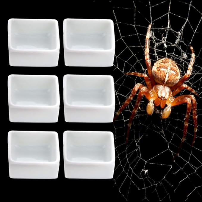 6 Pack Tarantula Ceramic Feeding Bowl Hermit Crab Small Water Bowl Spider Small Reptile Micro Ceramic Food Dish (Square Shape)