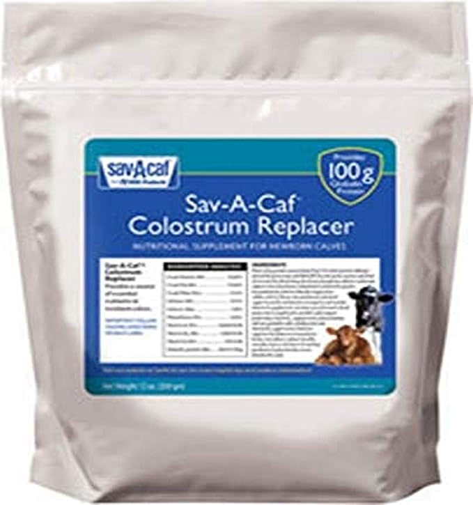 633176 Sav-a-Caf Colostrum Replacer 100, 350G