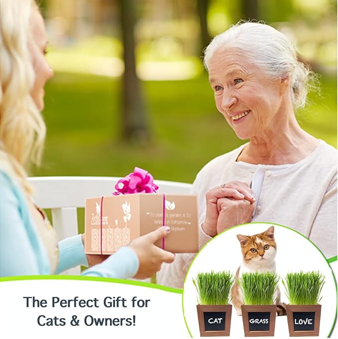 Organic Indoor Cat Grass Kit - 3 Wooden Planters, Certified Seeds, and Premium Soil for Happy Cats. Delight Your Feline Friends with The Ultimate Cat Grass Experience! Ideal Gift for Cat Lovers.