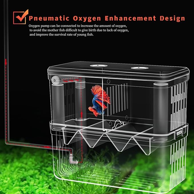 Large Fish Breeder Box for Aquarium, Fish Tank Acrylic Breeding Box, Aquarium Hatchery Incubator Breeder Box, Isolation Divider Hatching Box for Small Clownfish Shrimp Guppy, Can Connected to Air Pump