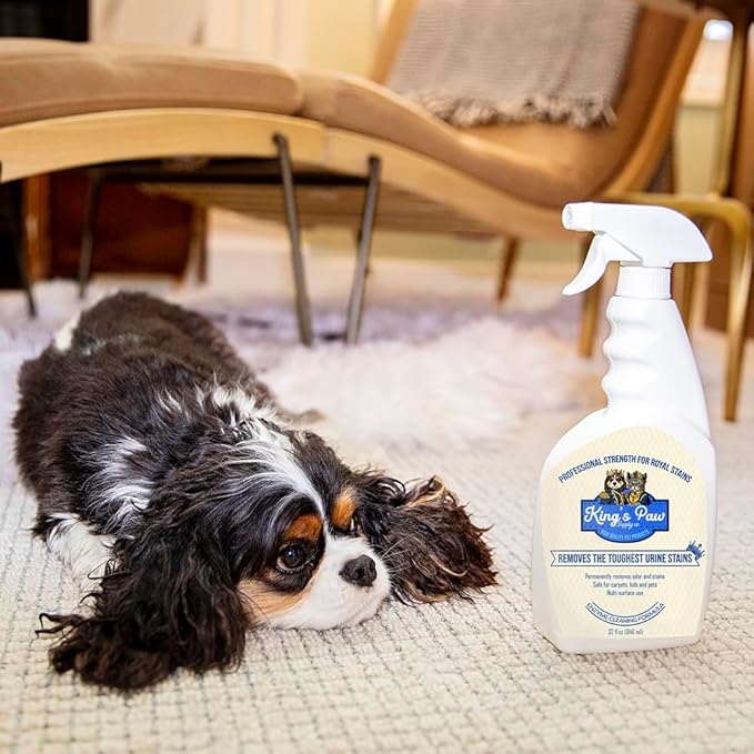 King's Paw Supply Co. Stain & Odor Remover for Strong Odor, 32oz Enzyme Pet Odor Eliminator for Home, Carpet Stain Remover for Cats & Dog Pee, Dog Urine Destroyer, Carpet Cat Stain Spray