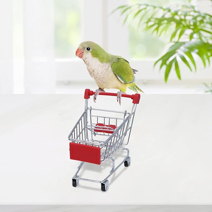 Wontee Bird Toys Mini Shopping Cart Skateboard Ring Toy for Playing and Training of Budgies Cockatiels Caique Quaker Parrot Conures (3 Pack)