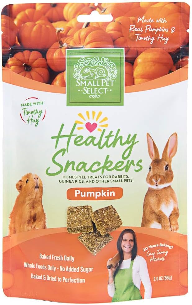 Small Pet Select - Healthy Snackers - Pumpkin (Pack of 2)