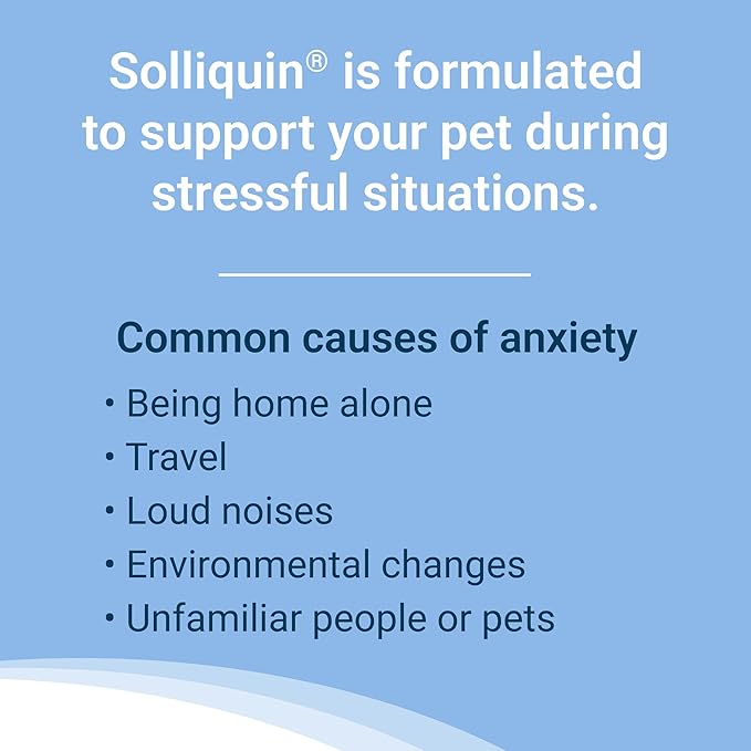 Nutramax Solliquin Calming Behavioral Health Supplement for Small to Medium Dogs and Cats - with L-Theanine, Magnolia/Phellodendron, and Whey Protein Concentrate, 75 Soft Chews