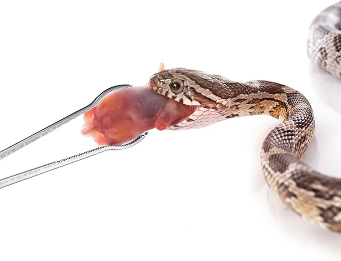 Reptile Feeding Tongs, 15 Inch Snake Feeding Tongs Anti-Skid Easy-Grip Extra Long Tweezers for Terrarium Corn Ball Python Accessories Axolotl Bearded Dragon Feeding Supplies