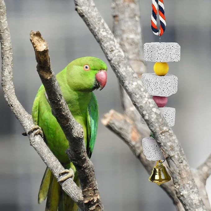 MiOYOOW 2PCS Parrot Chewing Toys, Bird Beak Grinding Calcium Stones Hanging Bird Cage Accessories with Bells for Small pets Parakeet Hamster Chinchilla Lovebird Cockatiel