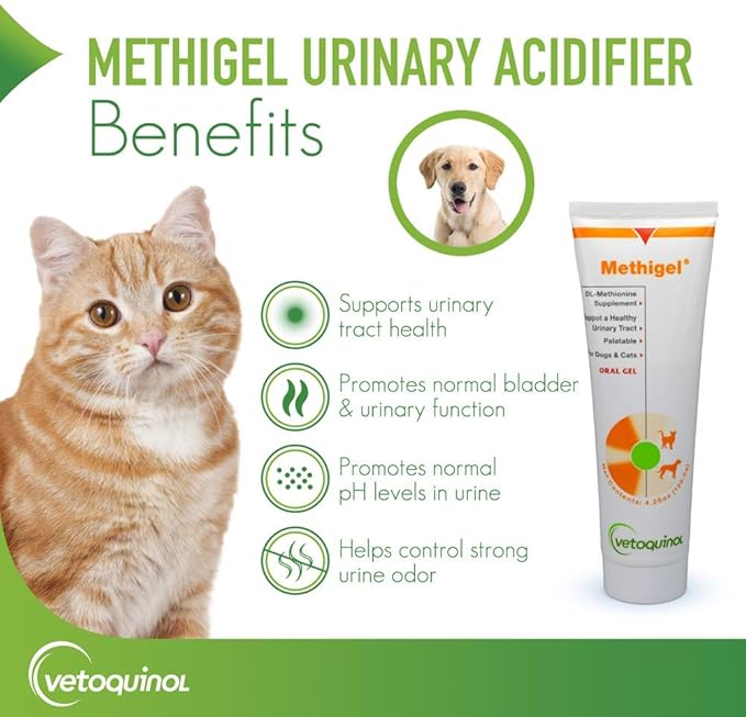 Vetoquinol Methigel Urinary Acidifier to Promote Urinary and Bladder Health for Dogs & Cats