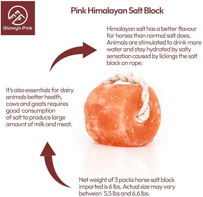 Himalayan Pink Salt Lick Pack of 3 (6lbs each block)- Mineral Salt Block on Rope 100% Organic Pink Salt Block for Horses Deer and Live Stock. Deer Attractant for Deer Hunting