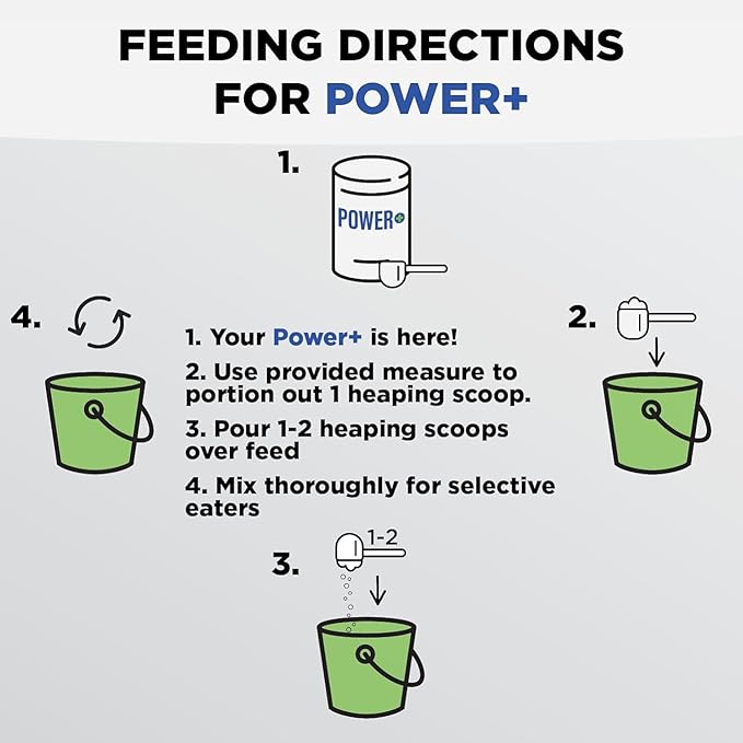 Power+ Horse Supplement (348g/0.77lbs - 60 Servings) - 9 Equine Amino Acids Plus Probiotics for Horses - No Added Sugar, No Soy, No Fillers - Horse Joint Support Supplement