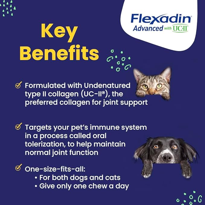 Vetoquinol Flexadin Advanced Dog Hip and Joint Supplement with UC-II Collagen, One Chew a Day Hip and Joint Support Chew for Dogs and Cats, Clinically Proven Vet-Approved Formula, 30 Chews