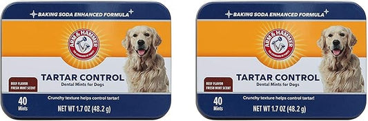 Arm & Hammer for Pets Tartar Control Dental Mints for Dogs Dog Dental Mints Reduce Plaque & Tartar Buildup for All Dogs Beef Flavor (Pack of 2)