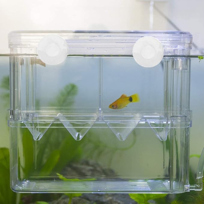 Senzeal Aquarium Fish Breeder Box Plastic Fish Isolation Breeding Box Hatching Incubator for Baby Fish Shrimp Clownfish Guppy